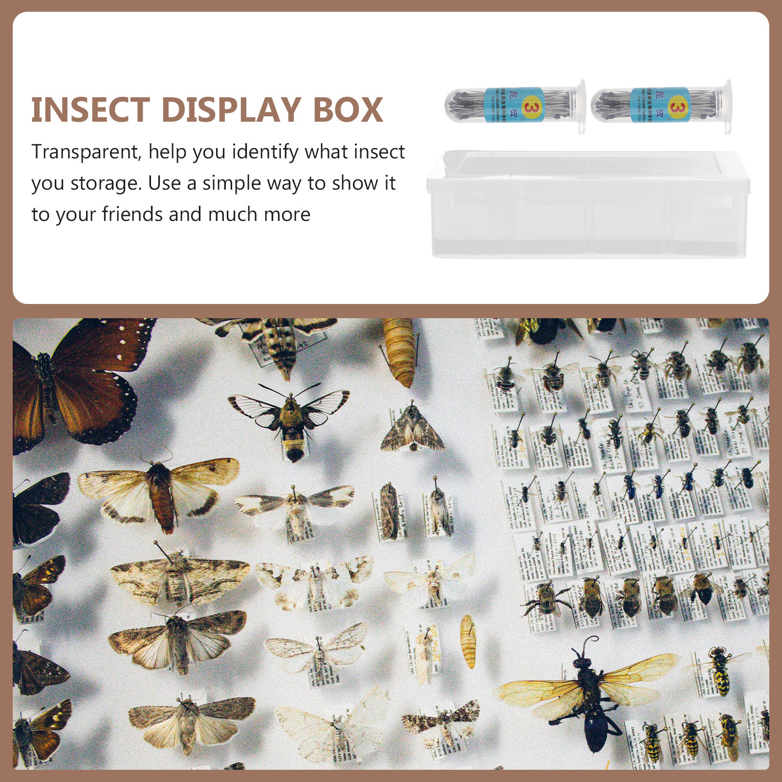 1Set Transparent Specimen Box  - Collectors Coins Jewelry & Watches Of Smithtown のレビューと価格
