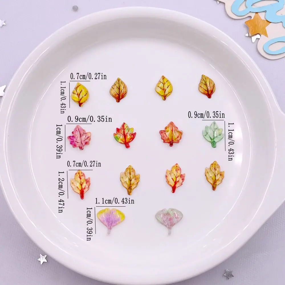 50pcs Mixed Resin Mini Crystal - Paradise Jewelry & Watches Llc Miami Photos のレビューと価格